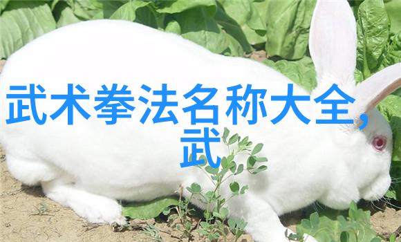 江南武林秘籍揭秘古老门派的传承与实力