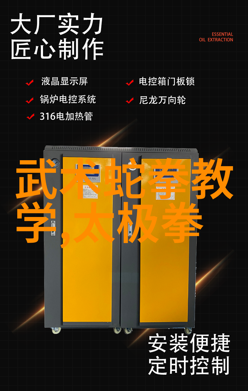 嵩山少林寺古风的帮会名称如同一棵深邃的古树根植于拳道之土绽放着独特的武学花朵