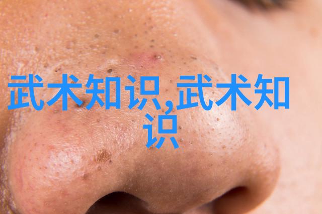 霸道门派腾挪架绝世拳法