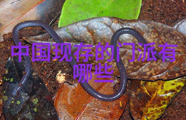 门派拳种阴阳八盘掌