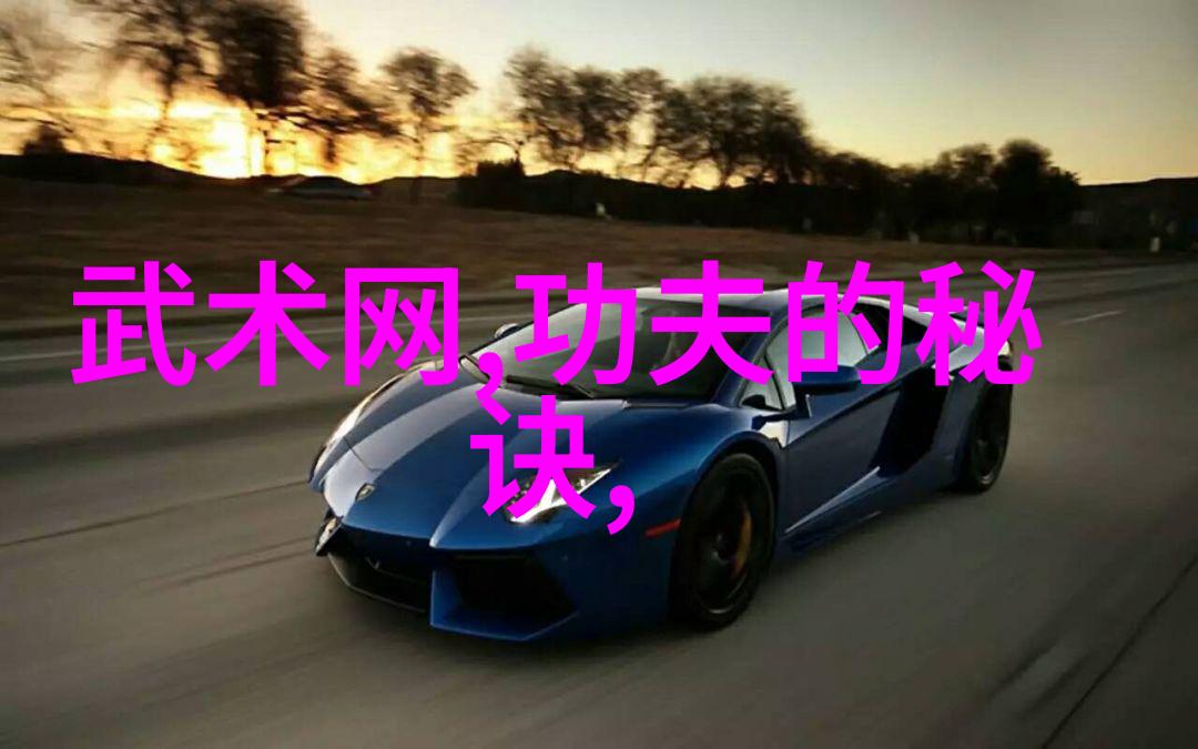 武术世家的辉煌揭秘中国传统武术的巅峰之选