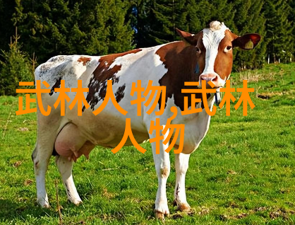 十三式太极拳分解动作内外八卦六十四手势的精髓