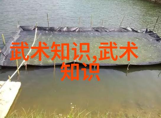 武术活动名称大全中华太极拳泰国武艺印度古典舞
