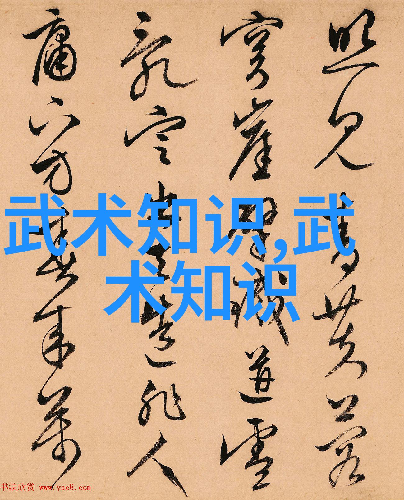 医疗器械血压测量仪一天多少次测量才算标准