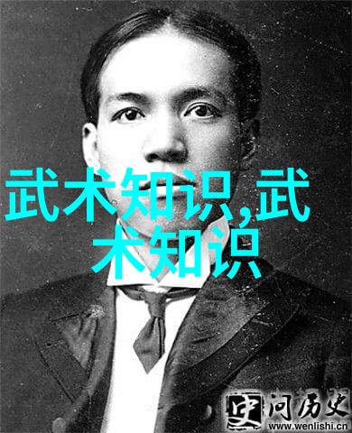 揭秘金装大侠之外的李小龙他是如何通过视频讲述武术的