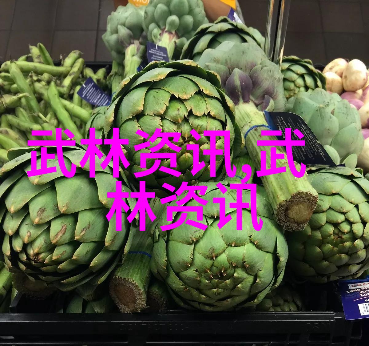 游泳馆心灵的港湾