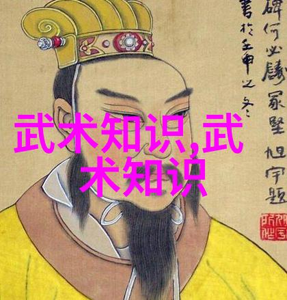 湖南武术门派传承湖南省内深厚的武术文化和历史