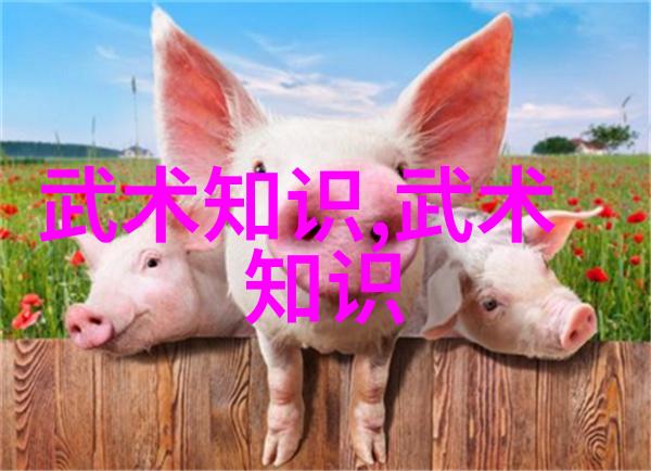 霸道神拳合页通背