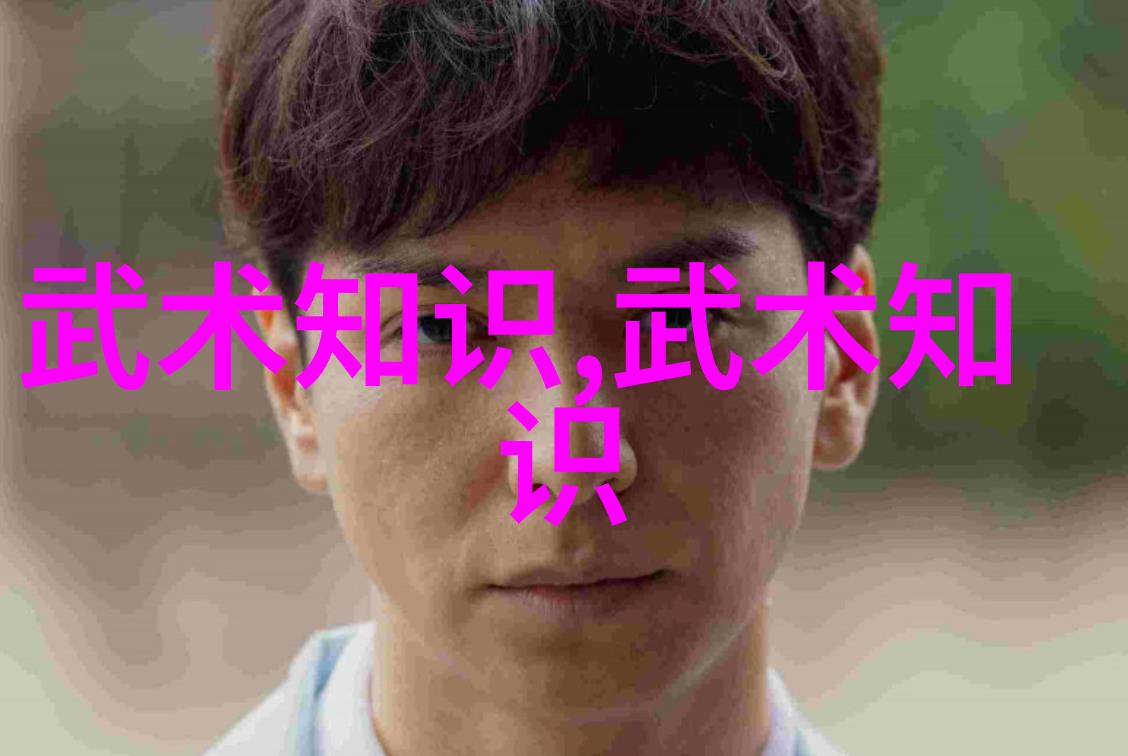 武林门派大汇总揭秘古老武术系谱