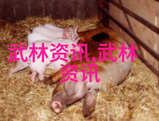 全能战士惠若琪重铸辉煌 她是中国女排的坚实后盾