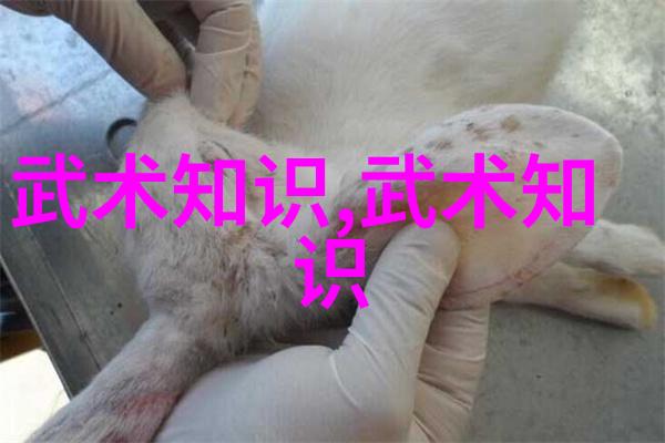 如何通过视频学习正确的太极步伐