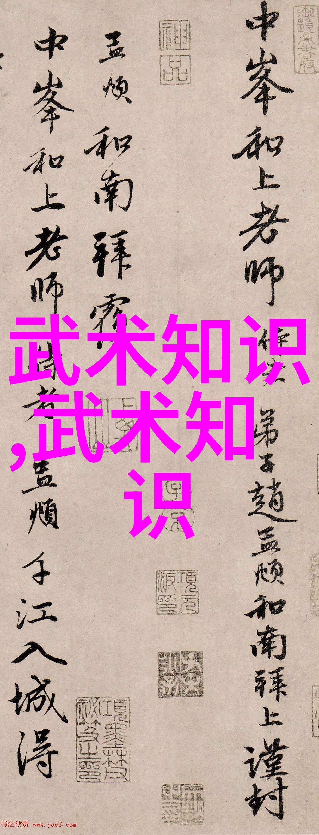共勉揭秘不良饮食习惯与蛋白粉的智慧