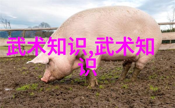 五彩缤纷中隐藏锋芒创意十足的现代化最霸气帮派名称推荐