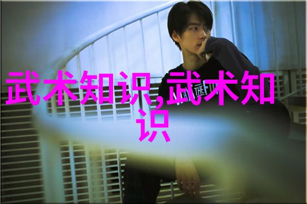 内功外运揭秘太极功夫的深奥之道