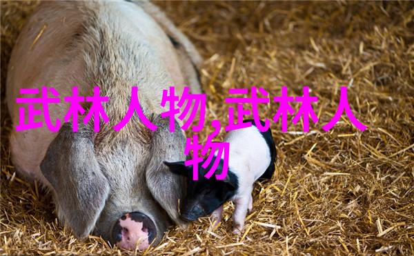 乒乓球台上的挑战王楚钦与周启豪在WTT太原站的首轮遭遇