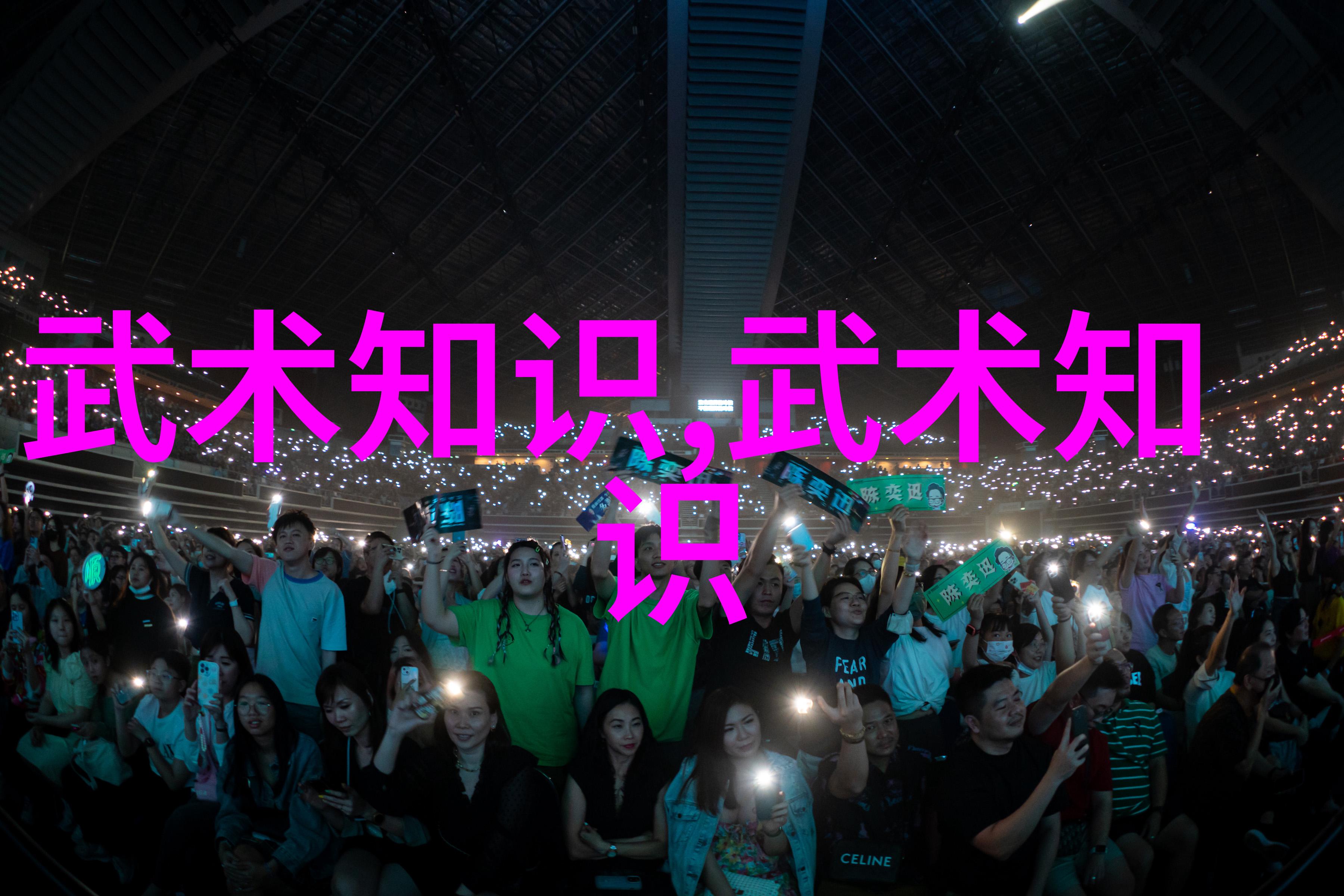 如何安全地获取并学习这套珍贵的修真功法秘籍