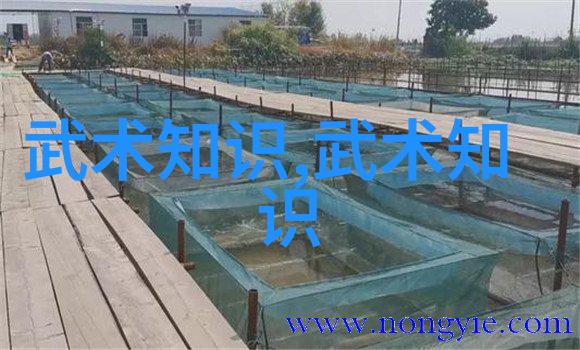 古风帮会之谜幽梦幽影社的传说