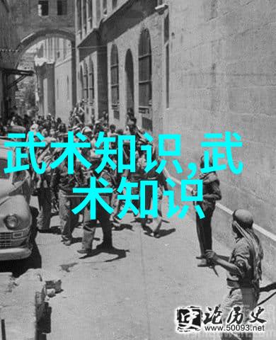 探索中华武学中国武功的练习艺术与技巧