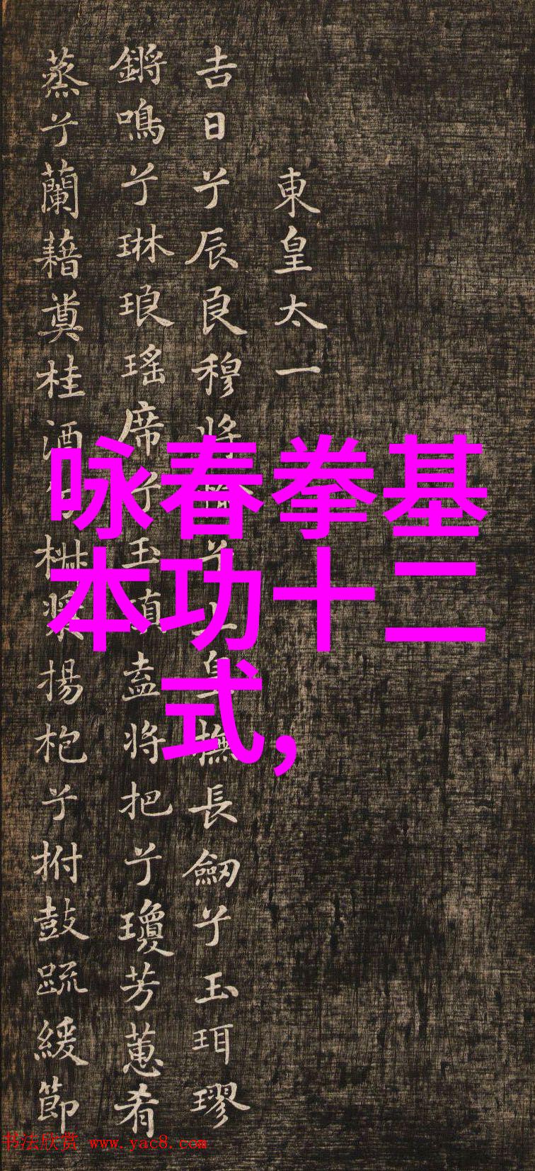 会武术的人在社会中的角色和影响力是怎样的
