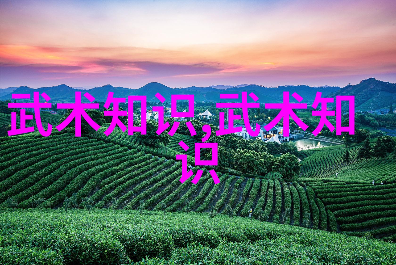小说武林门派名字大全 - 刃锋江湖武学门派谱系全览