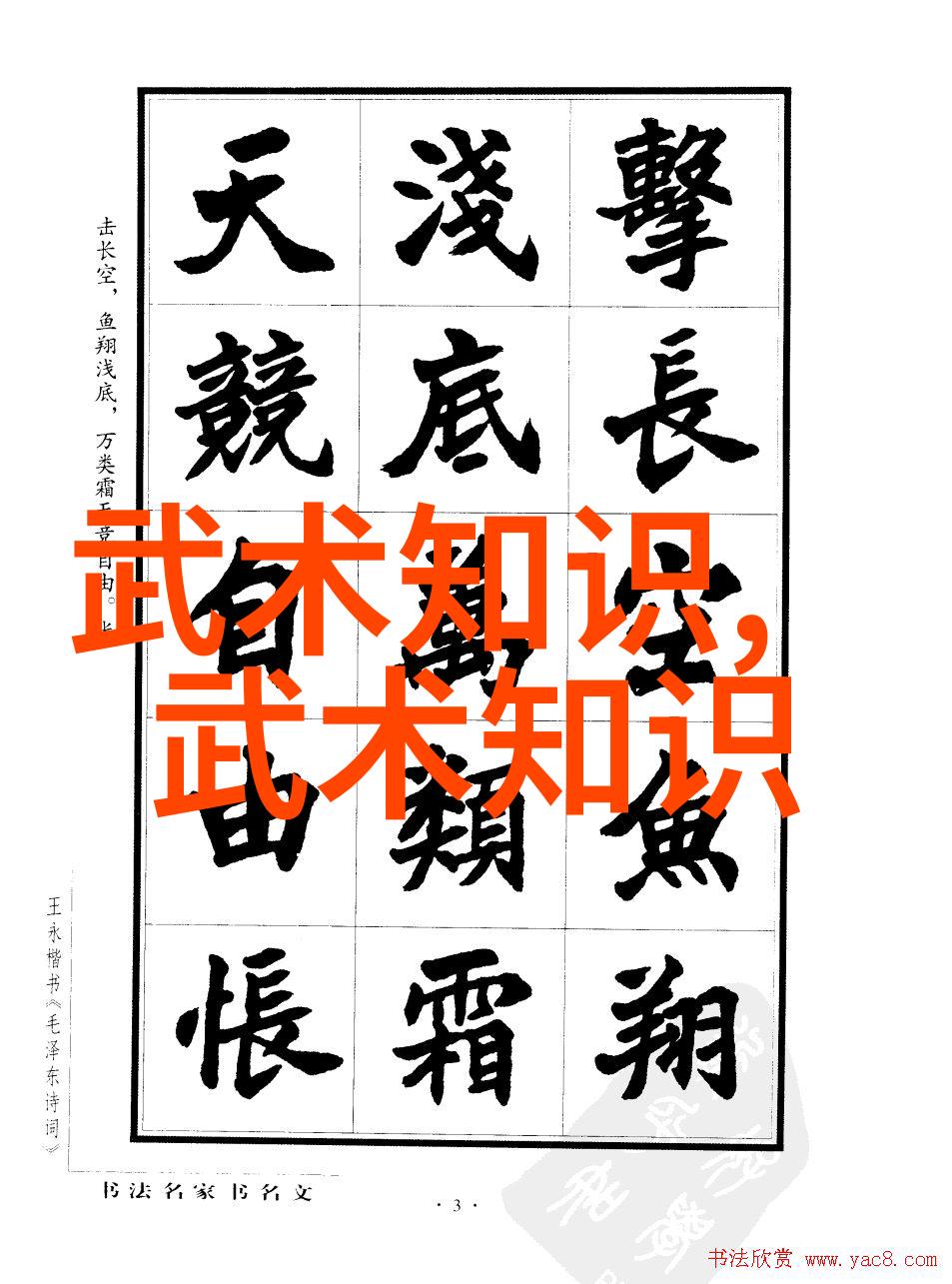 家庭武术练习的秘诀如何在家中提升你的实战技巧