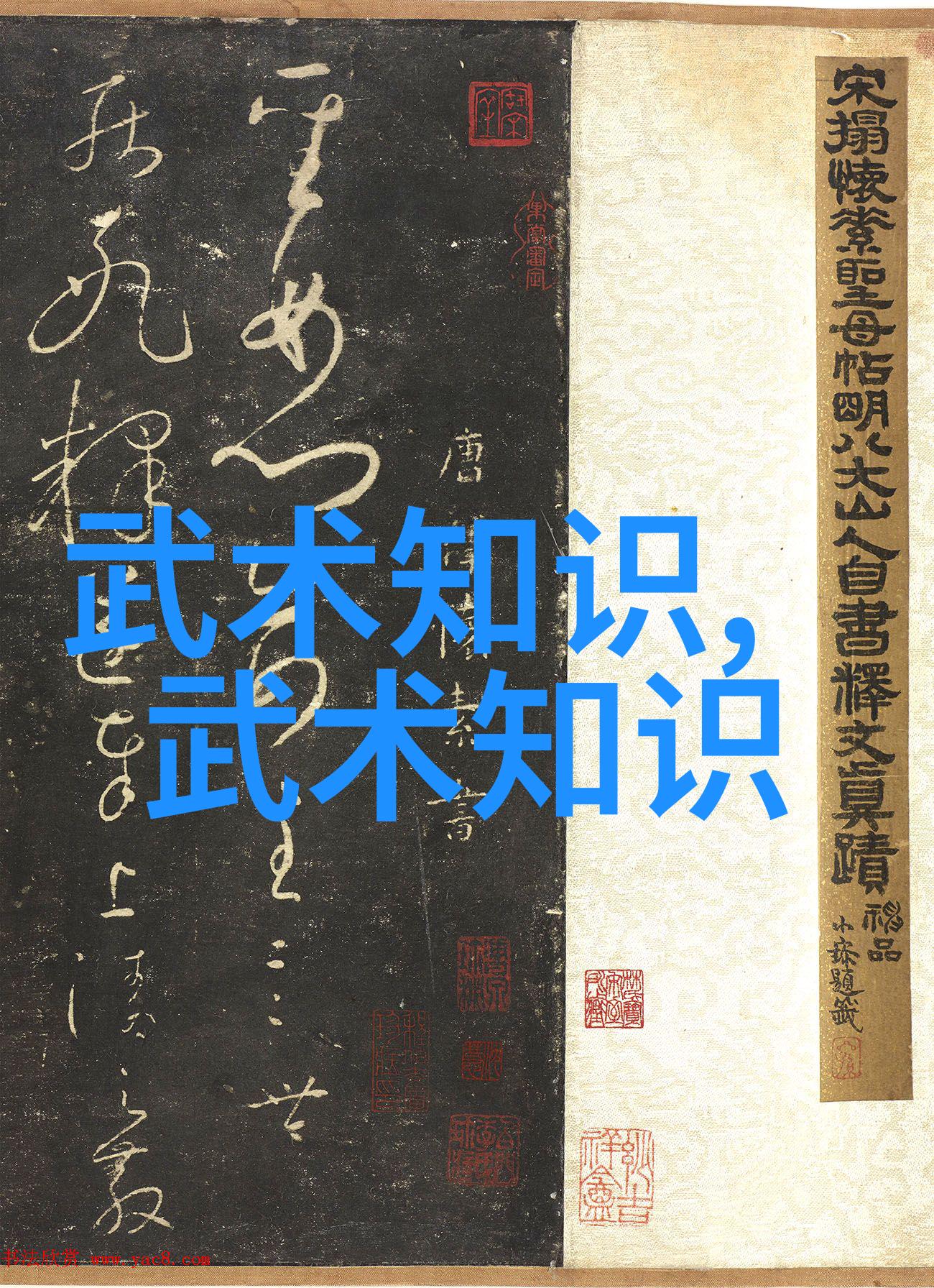 武功门派大集合从神秘的玄月剑到荒唐的飞脚怪