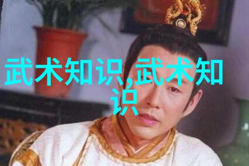武术刚开始练什么掌握基本功的艺术之路