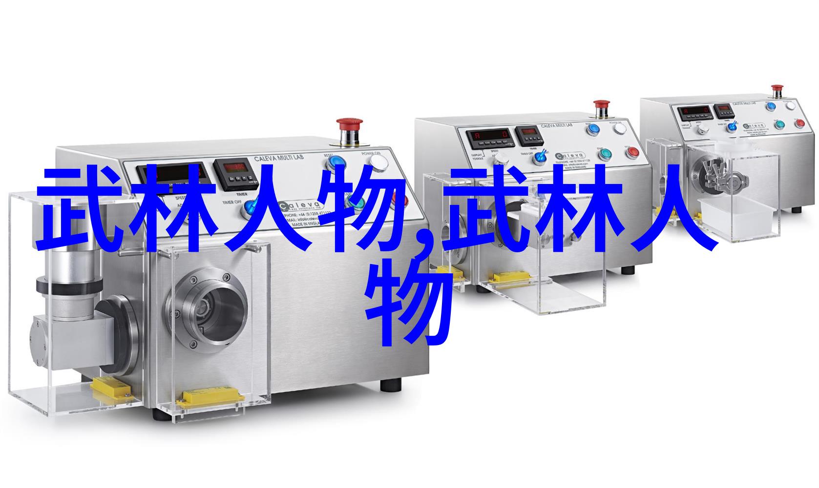 传统与现代中国武术拳法的演变过程