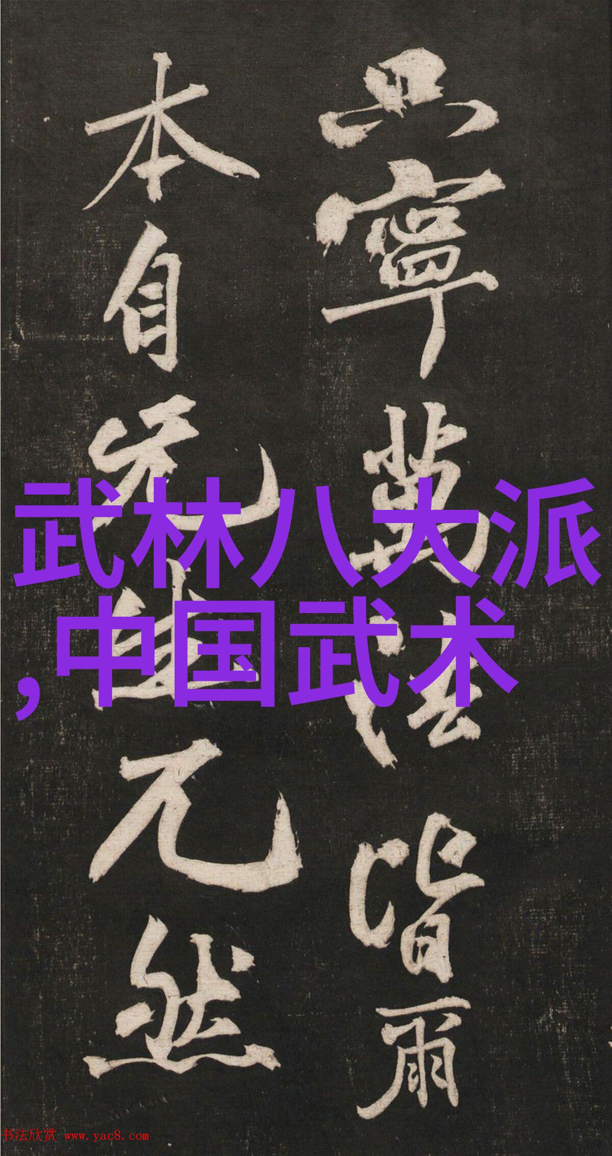 孙子兵法在太极拳中的秘密解锁张杰的武功图谱