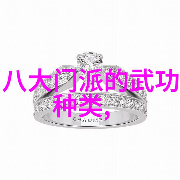 中国武术史上最为著名和庞大的门派太极拳古老而深奥的内家武术