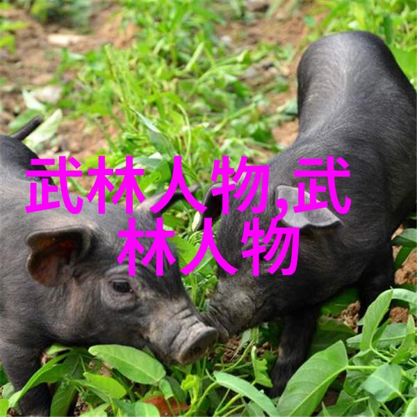 上古八大仙境秘传清拳武道之冠天地之灵