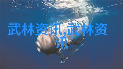 太极门古风帮会的自然武式太极拳