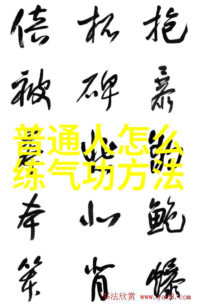 太极拳24式图解揭秘内家拳法的精髓