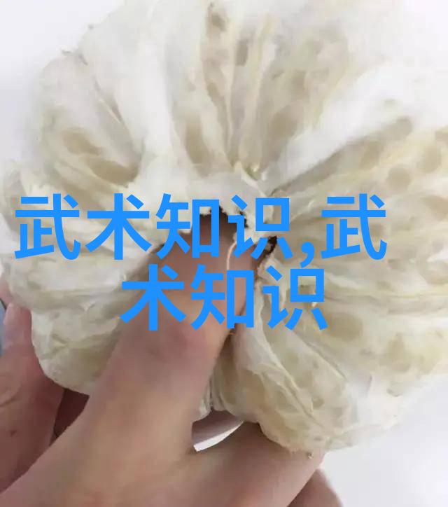 编织梦境探秘好听的仙盟之谜
