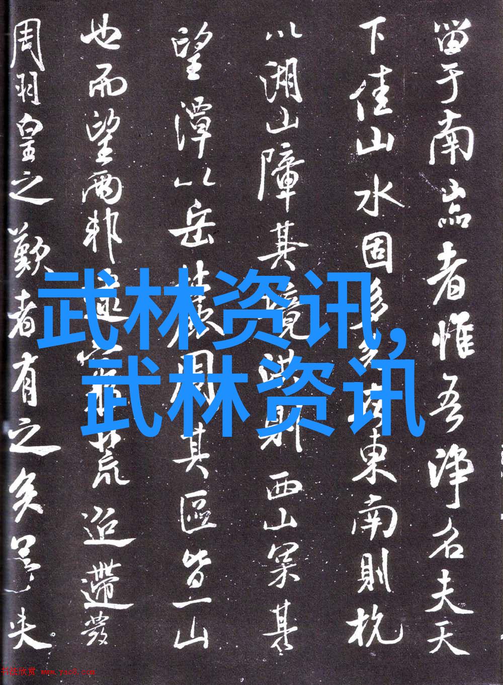 武林秘籍全解拳法图解指南