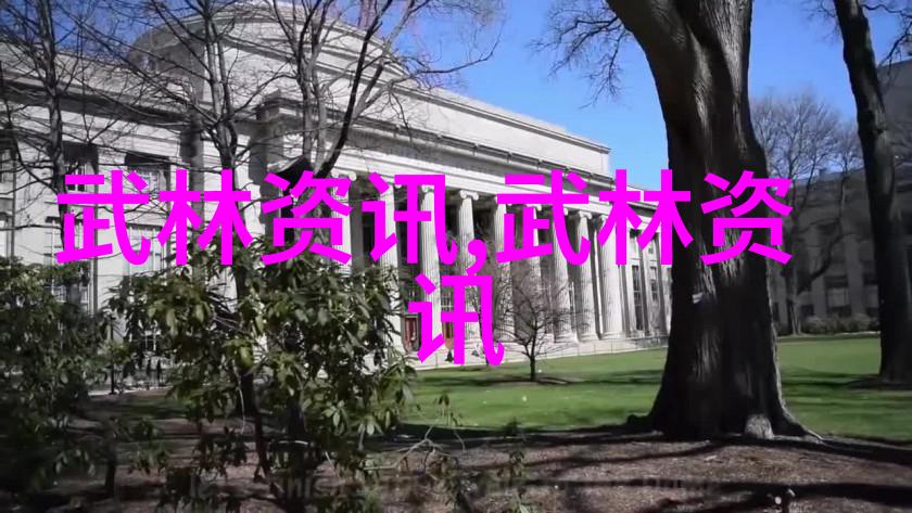 武术知识我怎么样学好一门传统武术
