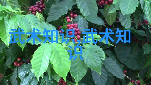 预备式与起势中国传统武术拳法在自然之中的展现