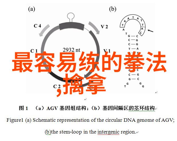 国家体育总局领导看望奥运火炬接力珠峰传递登山队