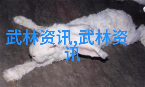 武林秘诀修炼心境之旅