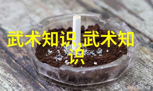 古老武林的秘密拳法揭开中国功夫的神秘面纱