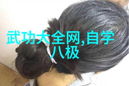 李小龙的功夫教学视频-重塑武术范式解读李小龙功夫教学视频中的内在智慧