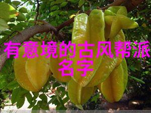 仙盟古韵杨氏太极拳悠扬仙风舞动灵韵
