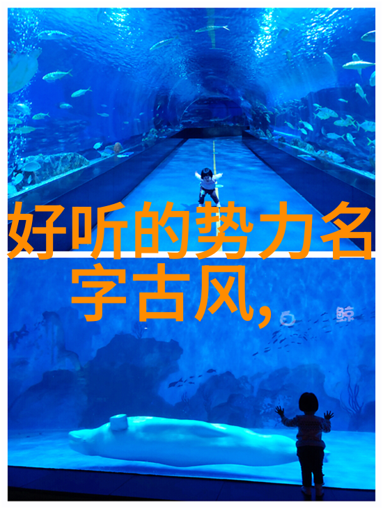 身手不凡中国少林寺的拳法与招式解析