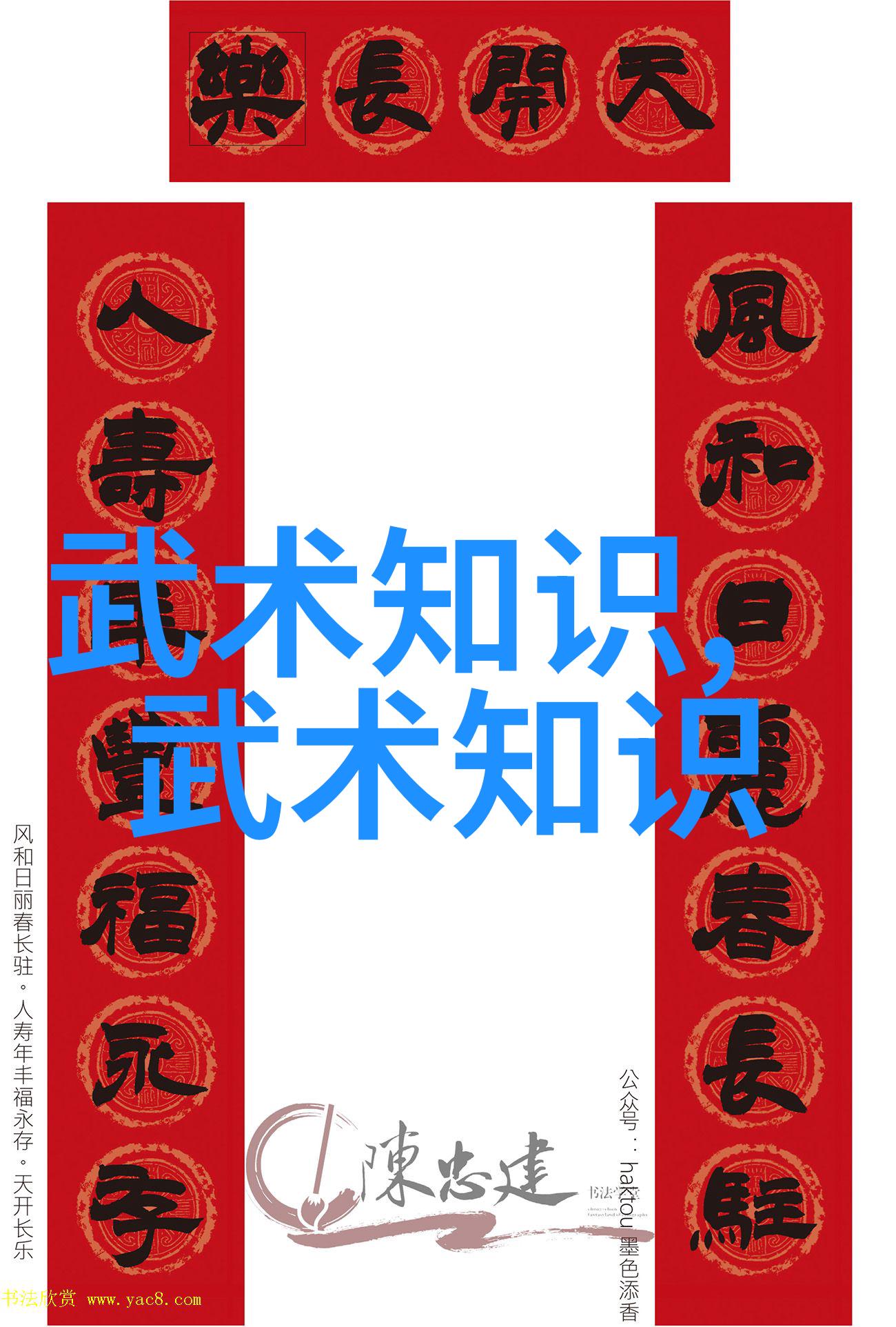 修真功法秘籍9000部揭秘杨式与陈式太极拳的深藏之谜