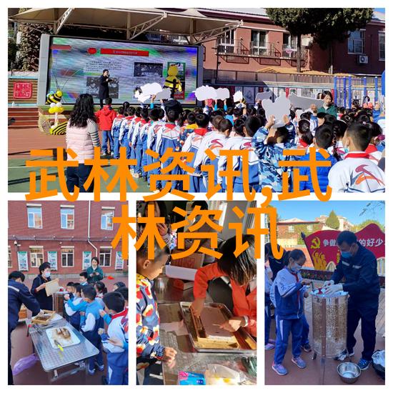 太极拳24式分解动作教学指南掌握古典武功精髓