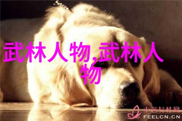 八三年武术事件-武林争霸揭秘那场震撼世界的武术大赛