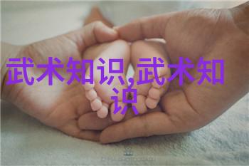 深度剖析 中国各地独特风格的内家外家拳