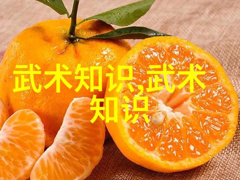 武林秘笈揭秘中国最牛的打架技巧