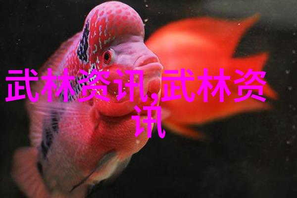 霸气纵横武林帮派名字的精妙之选