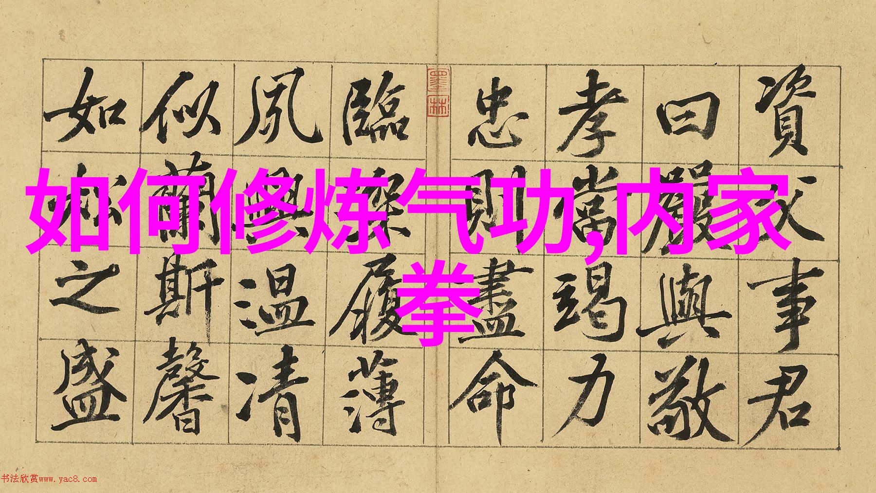 中国武术有多少种拳法-揭秘中华武林各家流派拳法的丰富多彩